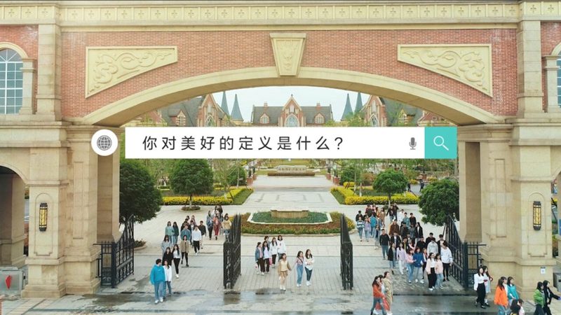 三维动画教程，分类解析与选择指南